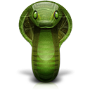 Python socket.recvfrom_info()函数中的远程代码执行漏洞